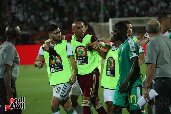 اشتباكات لاعبى الجزائر والسنغال  (5)