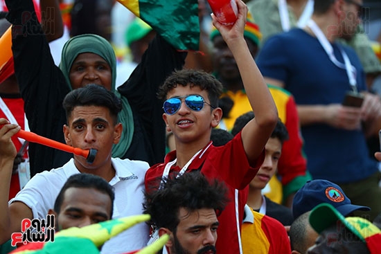 جماهير الجزائر والسنغال 0 (21)
