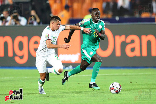الجزائر والسنغال (6)
