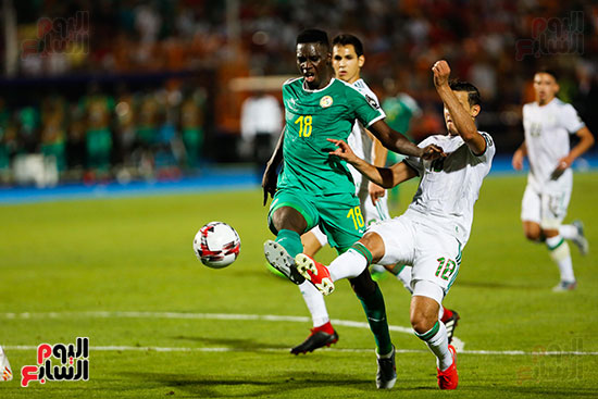 الجزائر والسنغال (36)