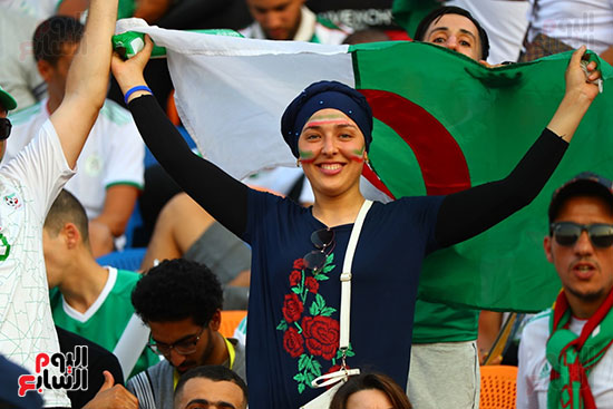 جماهير الجزائر والسنغال 0 (11)