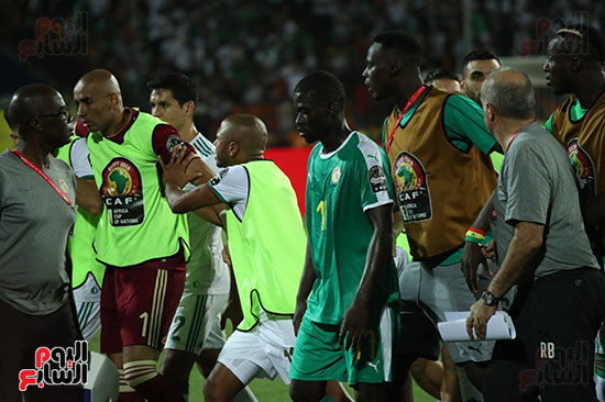 الجزائر والسنغال (14)