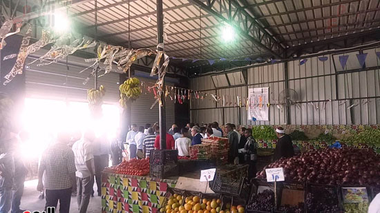 معرض لبيع الخضروات والفاكهة بأسعار مخفضة في مطروح  (3)