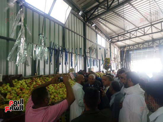 معرض لبيع الخضروات والفاكهة بأسعار مخفضة في مطروح  (4)