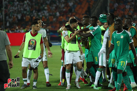 اشتباكات لاعبى الجزائر والسنغال  (2)