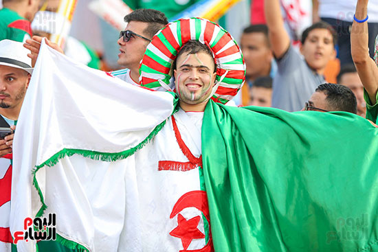 جماهير الجزائر والسنغال (8)