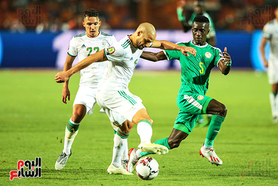 الجزائر والسنغال (1)