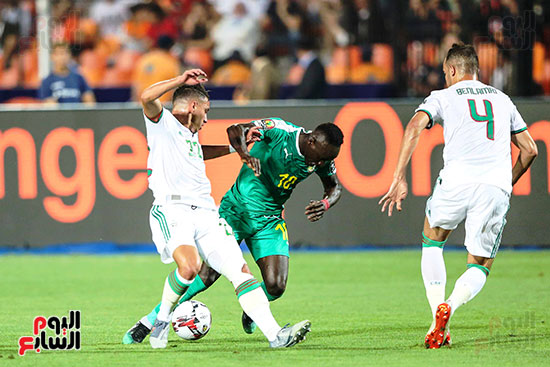 الجزائر والسنغال (8)
