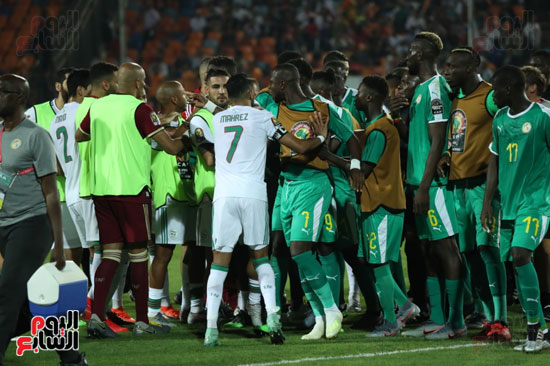 اشتباكات لاعبى الجزائر والسنغال  (3)