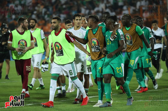 اشتباكات لاعبى الجزائر والسنغال  (1)