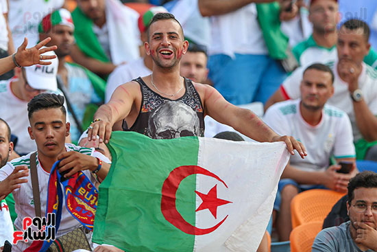 جماهير الجزائر والسنغال (11)