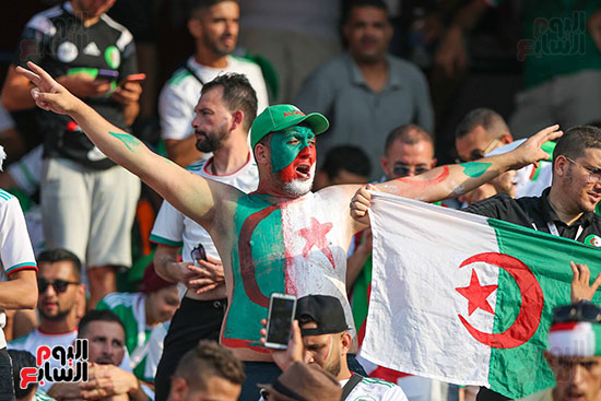 جماهير الجزائر والسنغال (15)