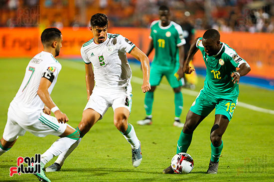 الجزائر والسنغال (32)