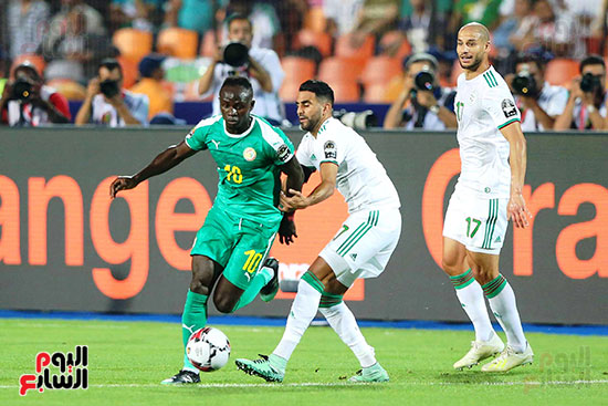 الجزائر والسنغال (4)