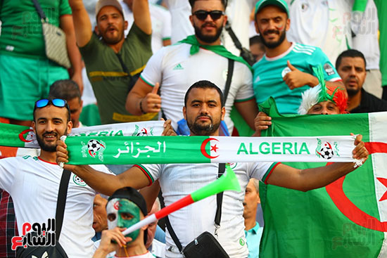 جماهير الجزائر والسنغال 0 (10)