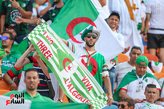 جماهير الجزائر والسنغال (10)