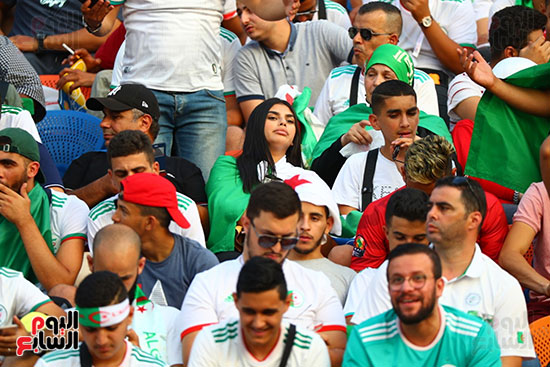 جماهير الجزائر والسنغال 0 (4)