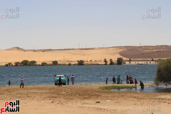 السباحة-فى-النيل-والترع-خلال-فصل-الصيف-بأسوان-(7)