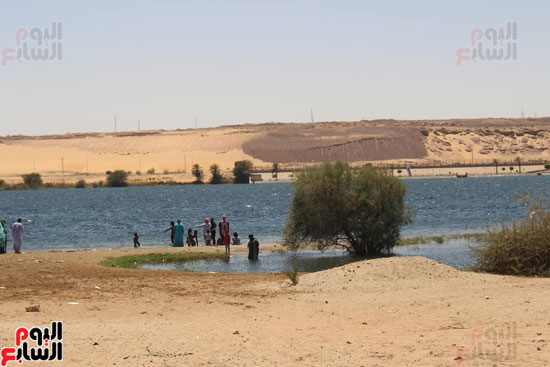السباحة-فى-النيل-والترع-خلال-فصل-الصيف-بأسوان-(6)