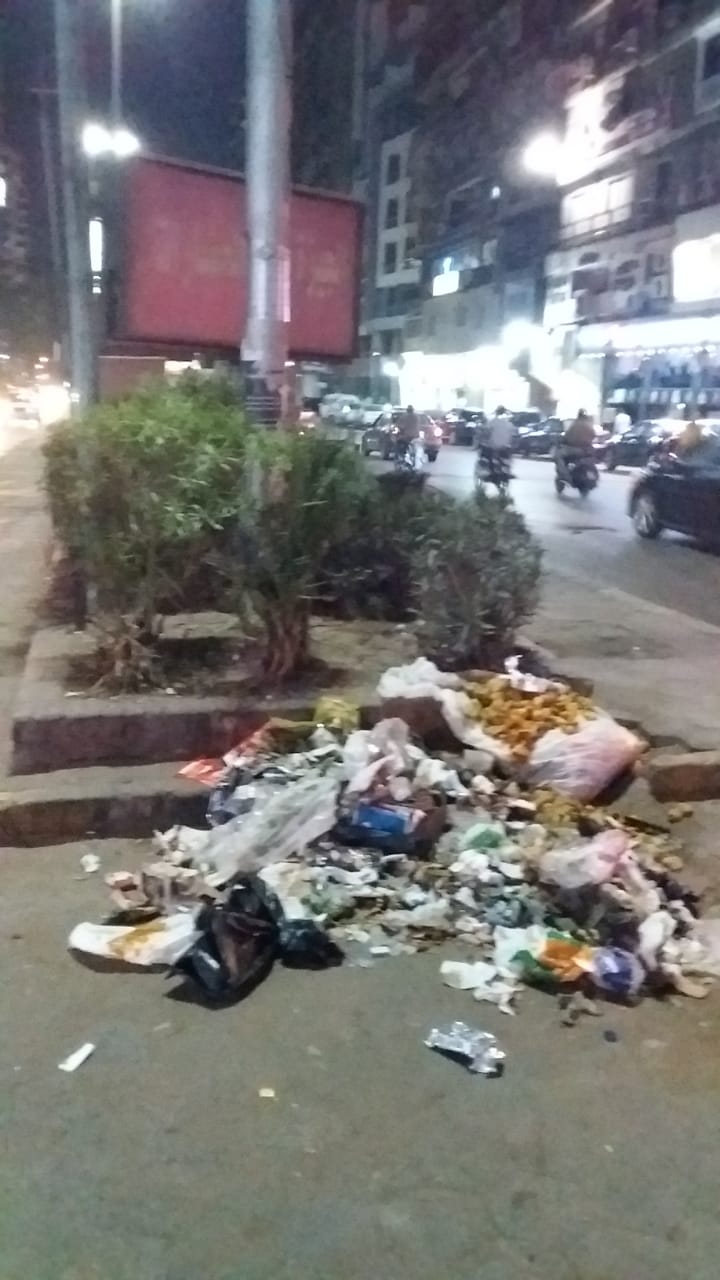 القمامة فى شارع البطل