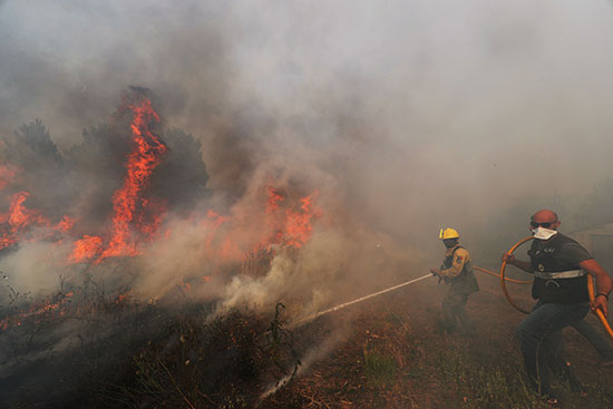 رجال الإطفاء خلال محاولتهم السيطرة على النيران