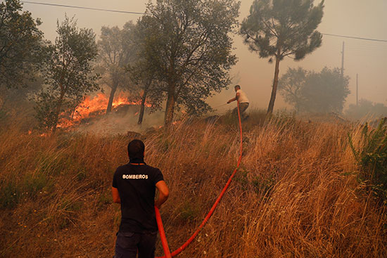 حرائق الغابات فى البرتغال