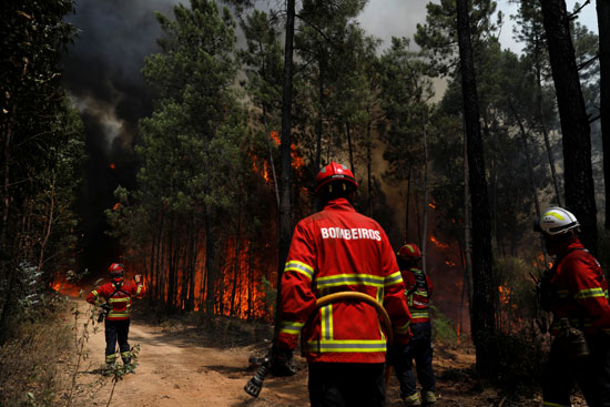 انتشار رجال الإطفاء وسط النيران
