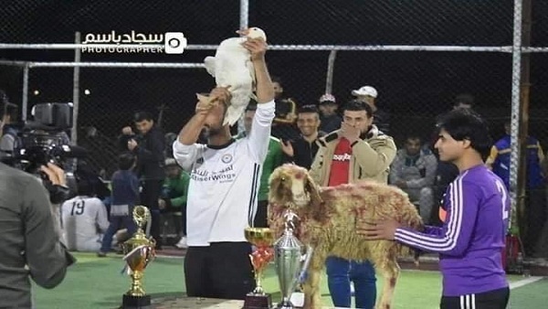خروف وبطة جوائز الكرة في العراق