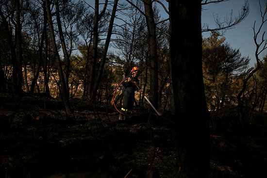 احتواء حرائق الغابات فى اليونان (10)