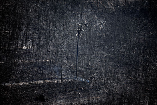 احتواء حرائق الغابات فى اليونان (3)