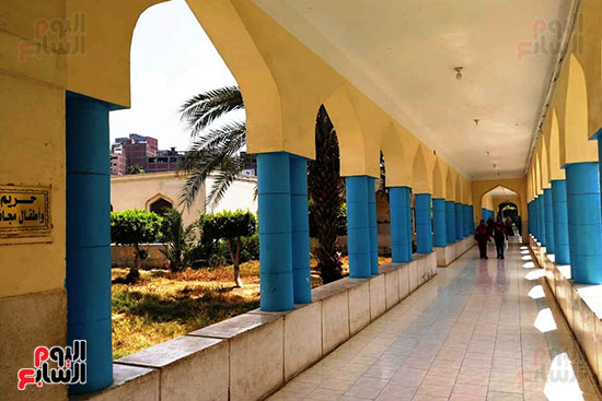 مستشفى حميات المحلة (11)