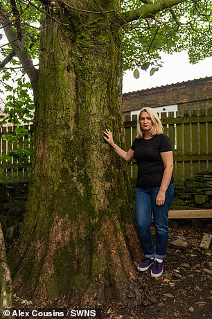 امرأة تتهم جارها بحقن شجرة عمرها 200 سنة بالسم (4)