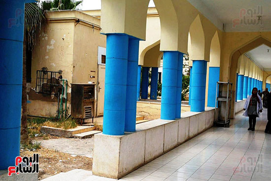 مستشفى حميات المحلة (10)