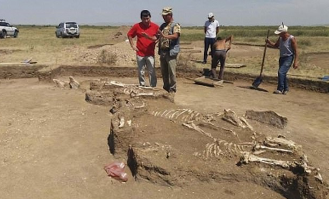 صور من موقع المقبرة