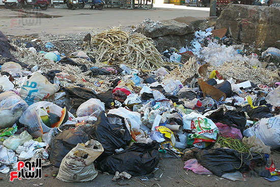 القمامة تحاصر شارعى نعمان الأعصر وسكة دمرو بالمحلة  (3)