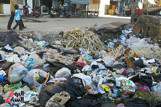 القمامة تحاصر شارعى نعمان الأعصر وسكة دمرو بالمحلة  (4)