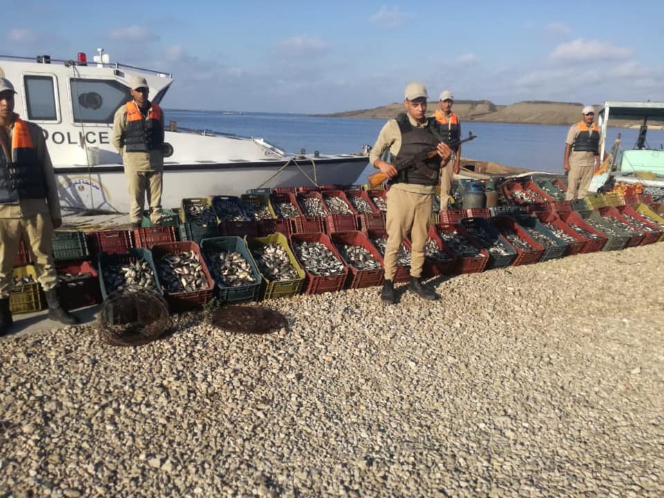 حملة لازالة التعديات على بحيرة البرلس ومنع الصيد الجائر  (5)