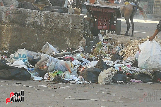 القمامة تحاصر شارعى نعمان الأعصر وسكة دمرو بالمحلة  (1)