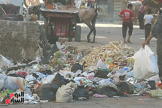 القمامة تحاصر شارعى نعمان الأعصر وسكة دمرو بالمحلة  (2)