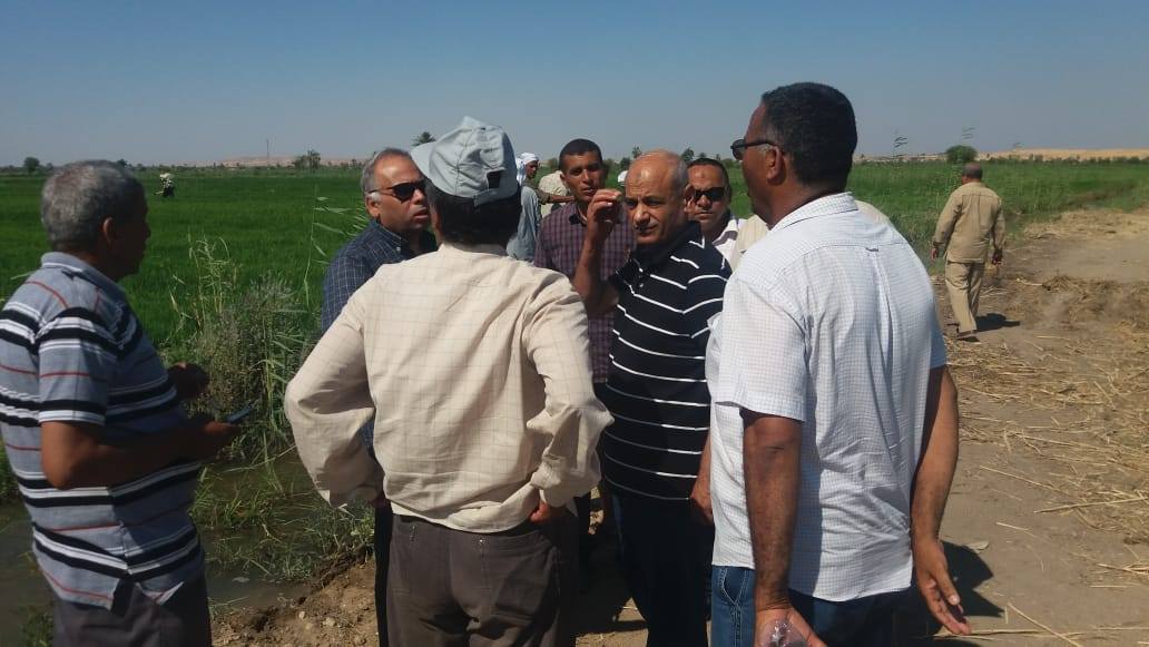 حملات لإزالة زراعات الارز المخالفة بمحافظة الفيوم  (1)
