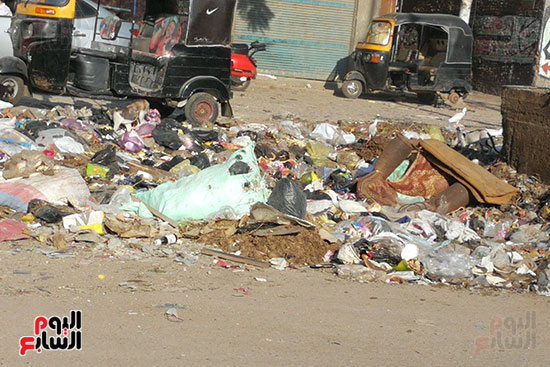 القمامة تحاصر شارعى نعمان الأعصر وسكة دمرو بالمحلة  (5)