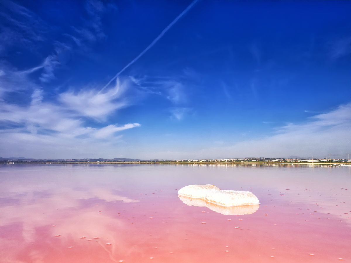 بحيرة توريفايجا الوردية الإسبانية3