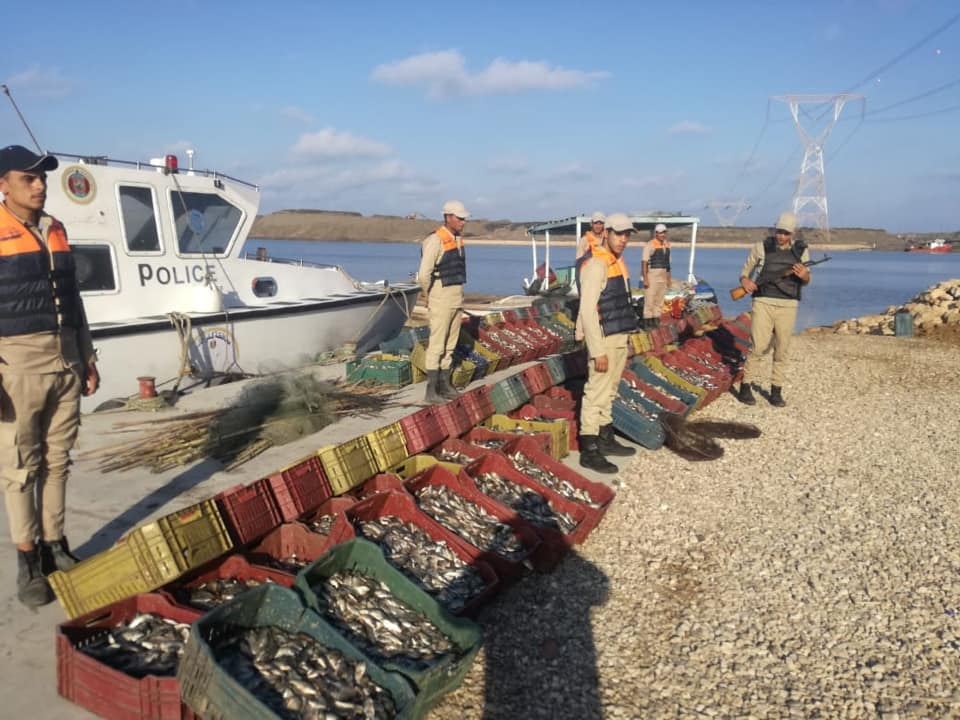 حملة لازالة التعديات على بحيرة البرلس ومنع الصيد الجائر  (6)
