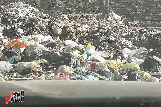 القمامة تحاصر شارعى نعمان الأعصر وسكة دمرو بالمحلة  (6)