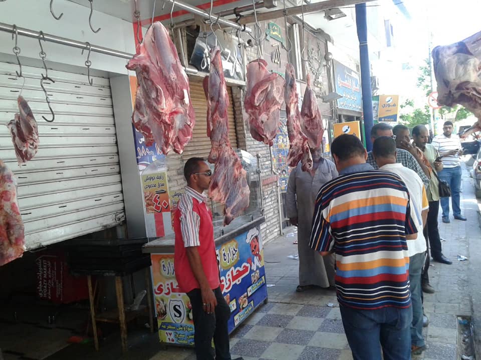 حملات مكبرة لمحاربة ظاهرة الأسواق العشوائية وسط الإسكندرية (5)