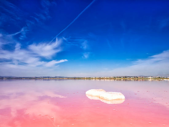 بحيرة-توريفايجا-الوردية-الإسبانية