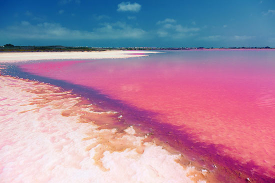 بحيرة-توريفايجا-الوردية-الإسبانية9