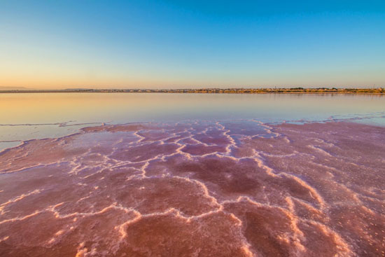 بحيرة-توريفايجا-الوردية-الإسبانية4