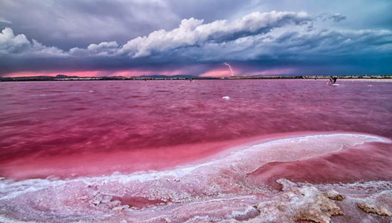-بحيرة-توريفايجا-الوردية-الإسبانية