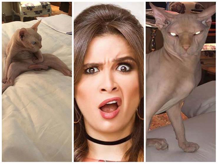 ياسمين عبد العزيز وقطتها ياسمين عبد العزيز وقطتها